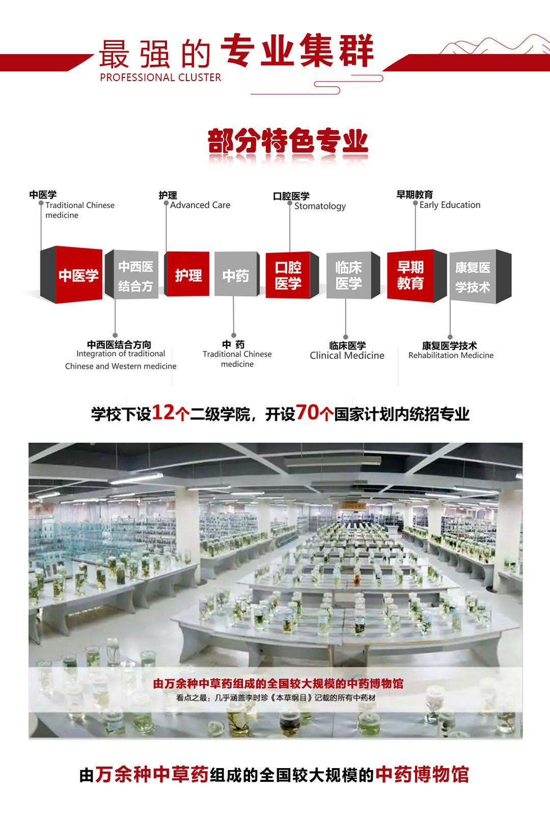 初中毕业上大学|2024年医疗卫生专业3+3大专|3+4本科贯通培养