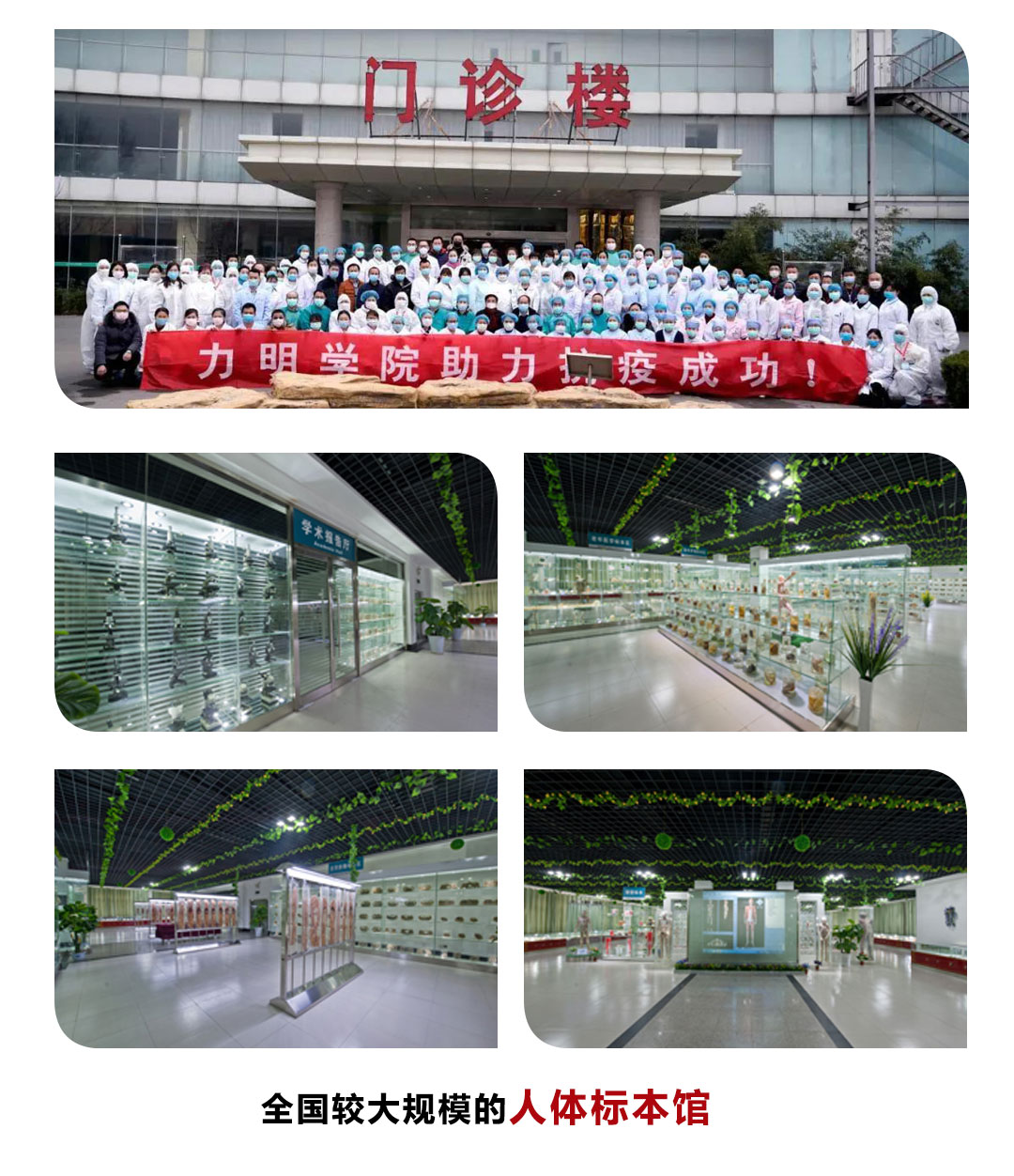 初中毕业上大学|2024年医疗卫生专业3+3大专|3+4本科贯通培养